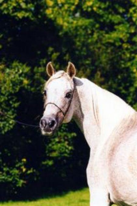 MystikaFotoAnetteMattsson_210x317
