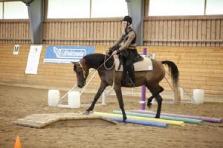 NyalaCopyright_Mira_Nyberg_300x200