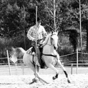 SahibbFotoMartinAronsson314