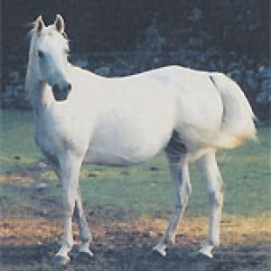 espmira1